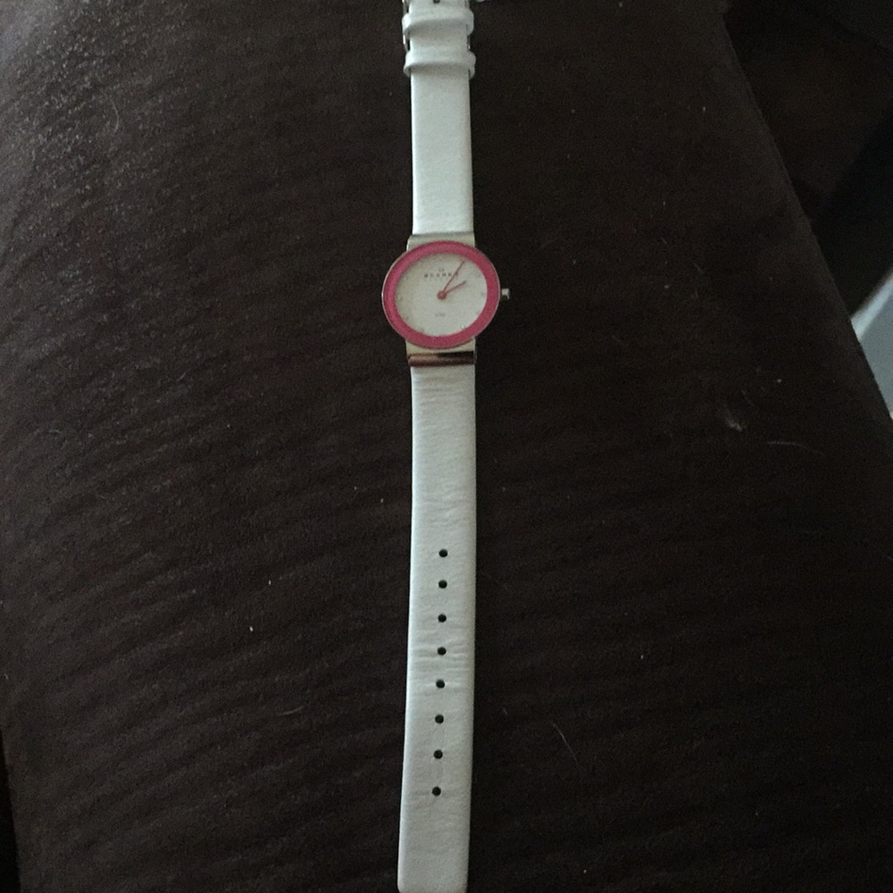Skagen Woman’s Watch